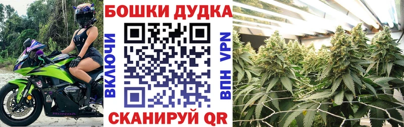 купить наркотики сайты  Ардон  Конопля Amnesia 
